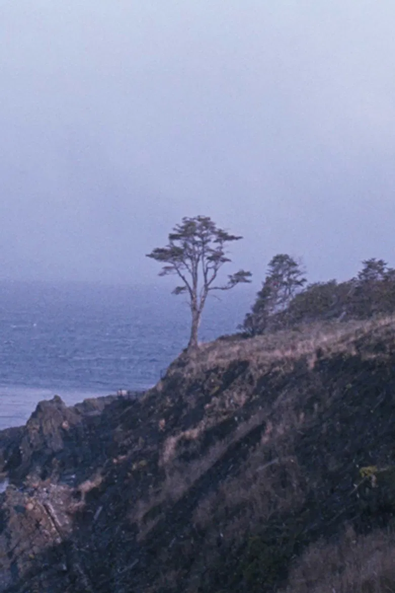 The Tree poster background