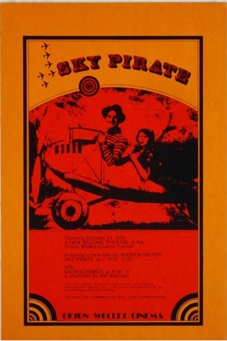 The Sky Pirate poster background