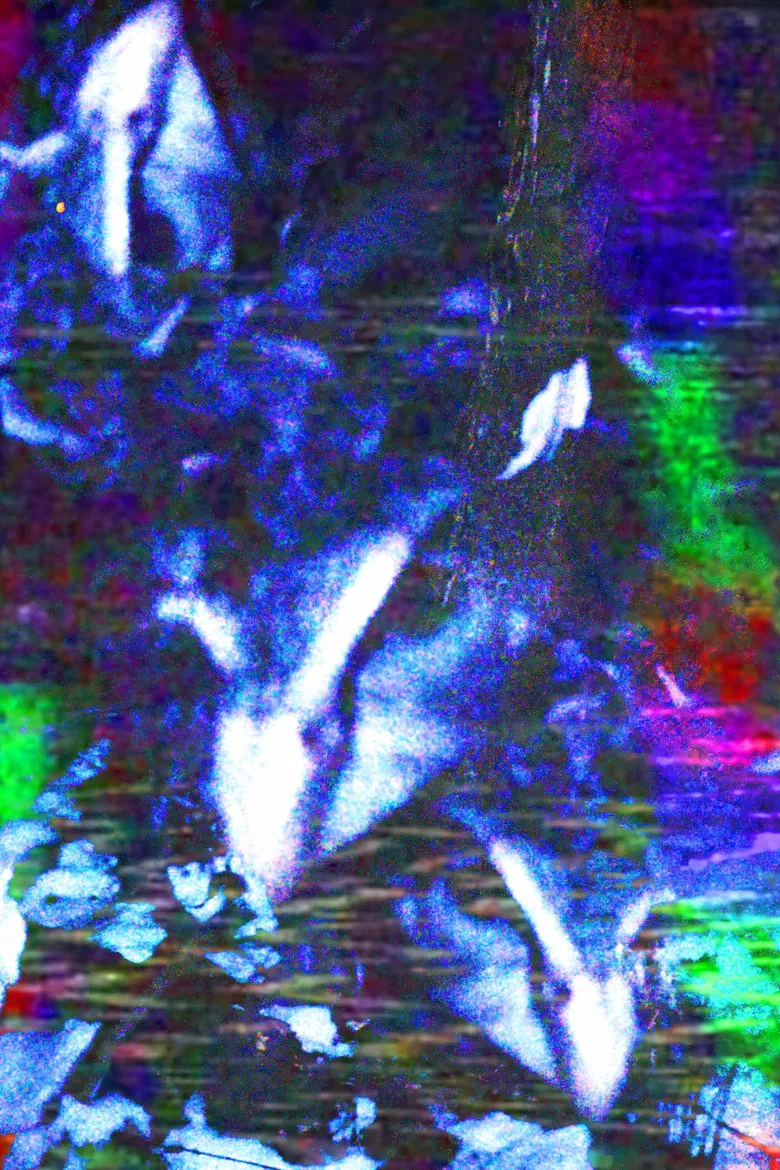 crow.mp4 poster background