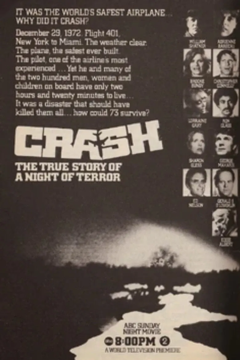 The Crash of Flight 401 poster background
