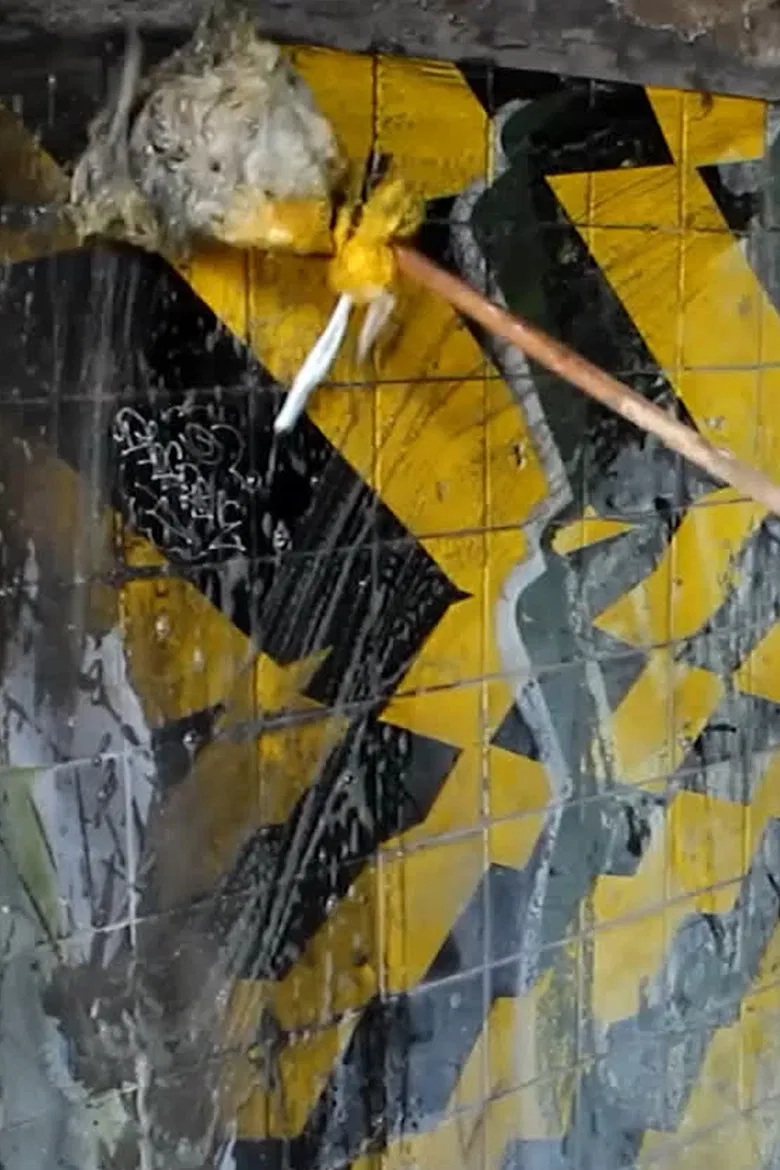 It Brings Light poster background