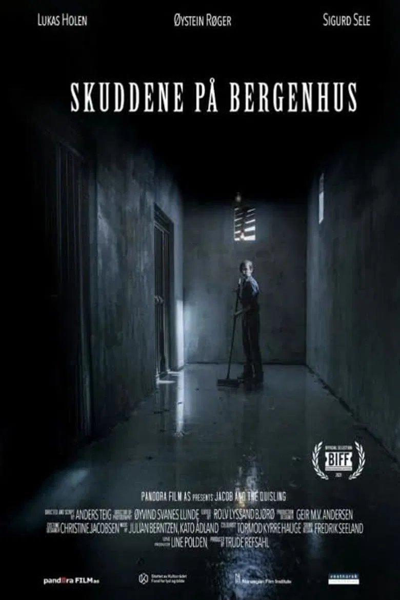 The Shots at Bergenhus poster background