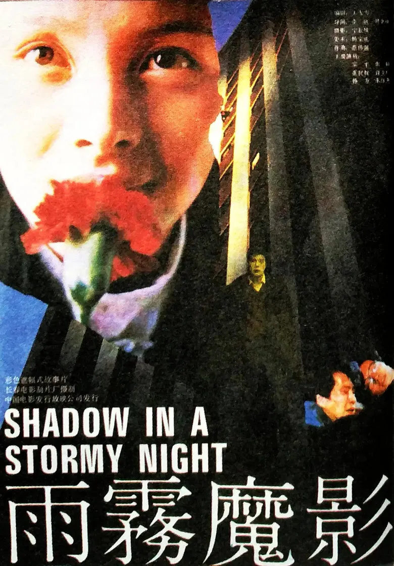 Shadow in a Stormy Night poster background