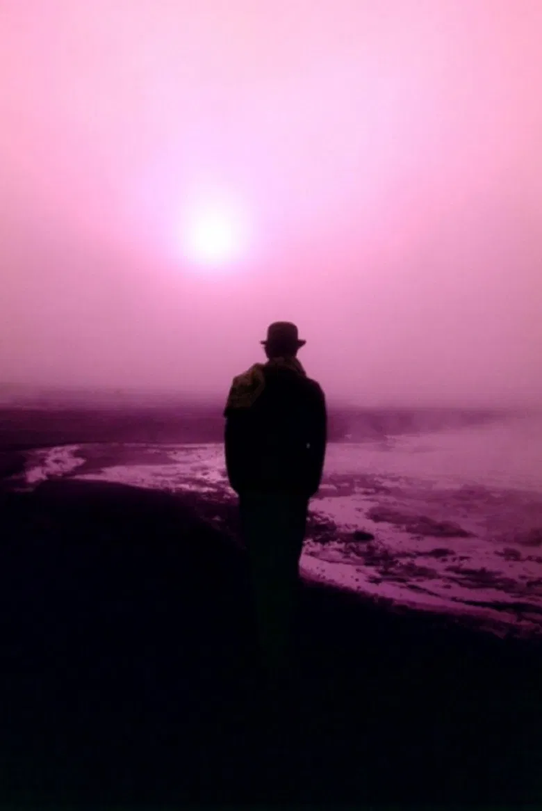 Rivadavia 2010 poster background