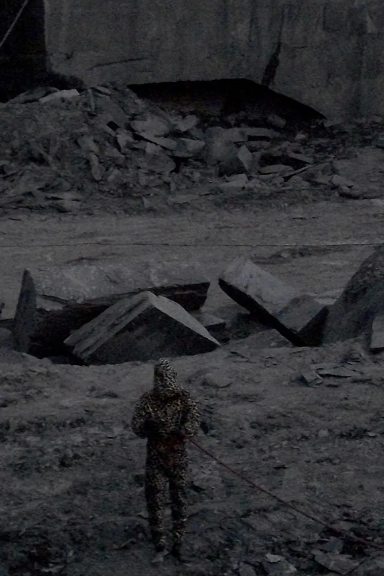 Avesso poster background