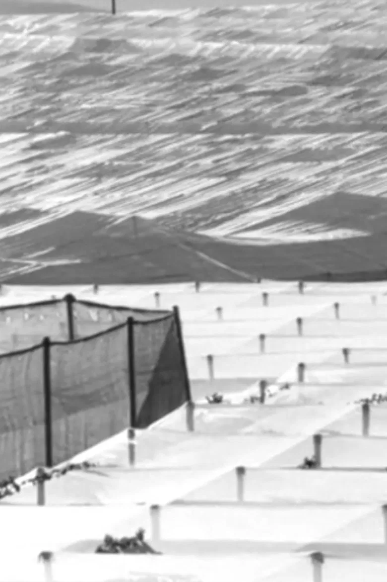 Kairos poster background