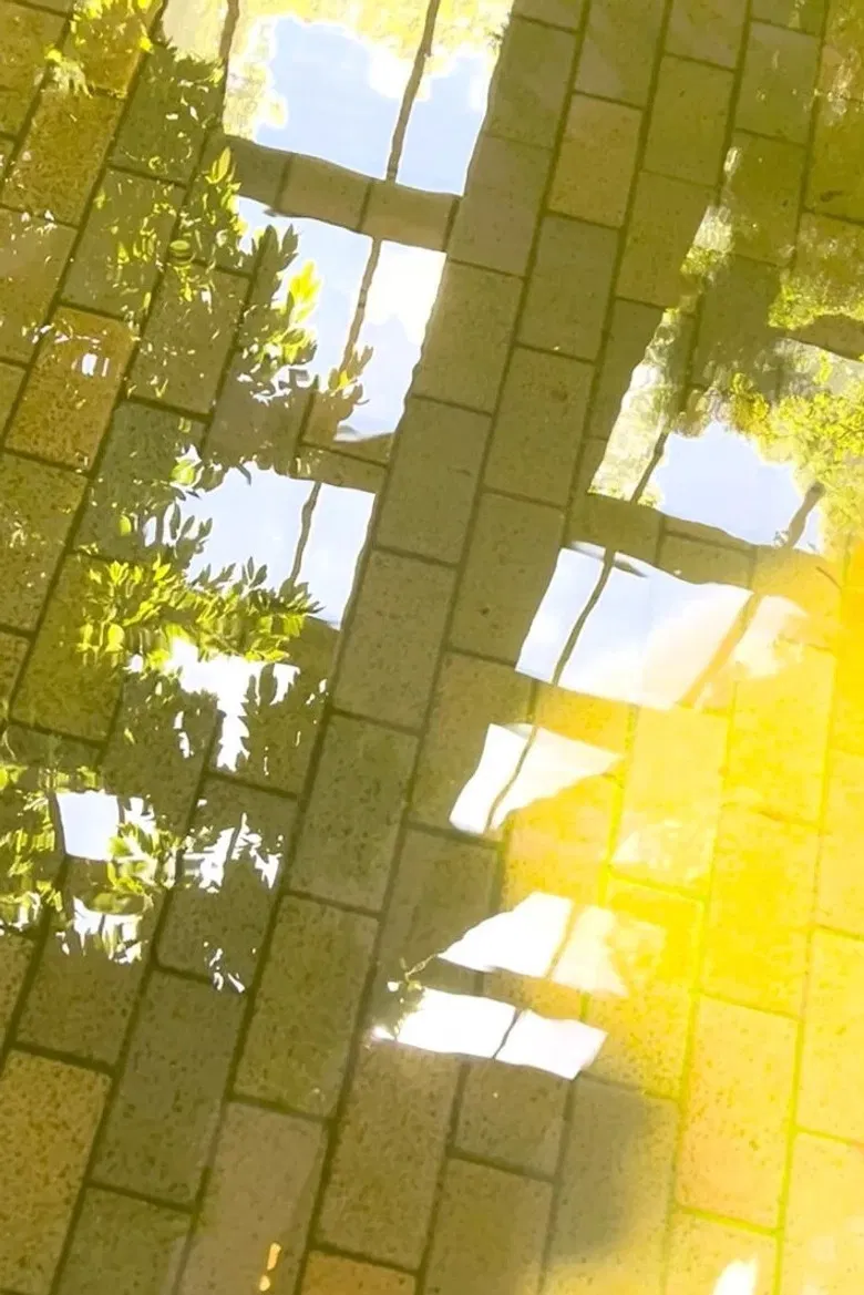 Sunset Seduction poster background