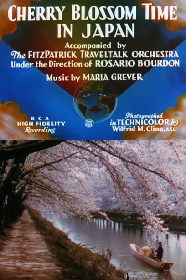 Cherry Blossom Time in Japan poster background