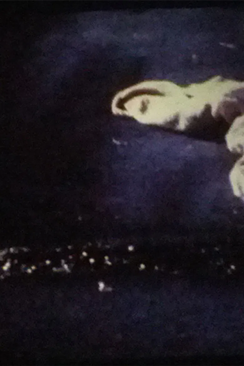 Trekkerriff poster background