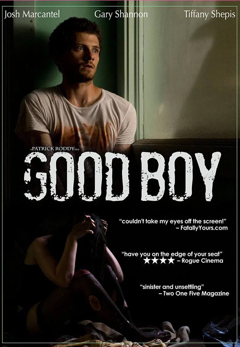 Good Boy poster background