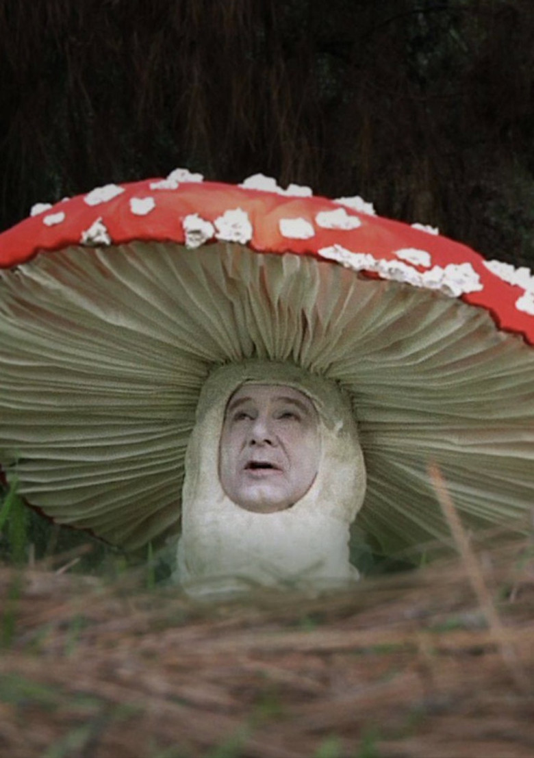 Fly Amanita poster background