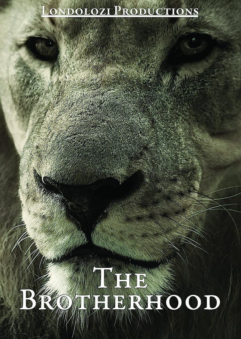 The Brotherhood poster background