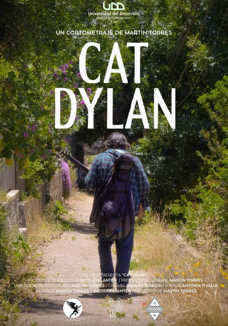 Cat Dylan poster background