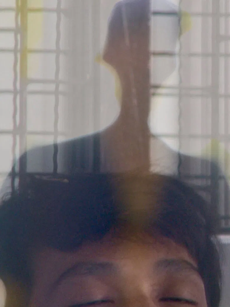 The Mental Traveller poster background