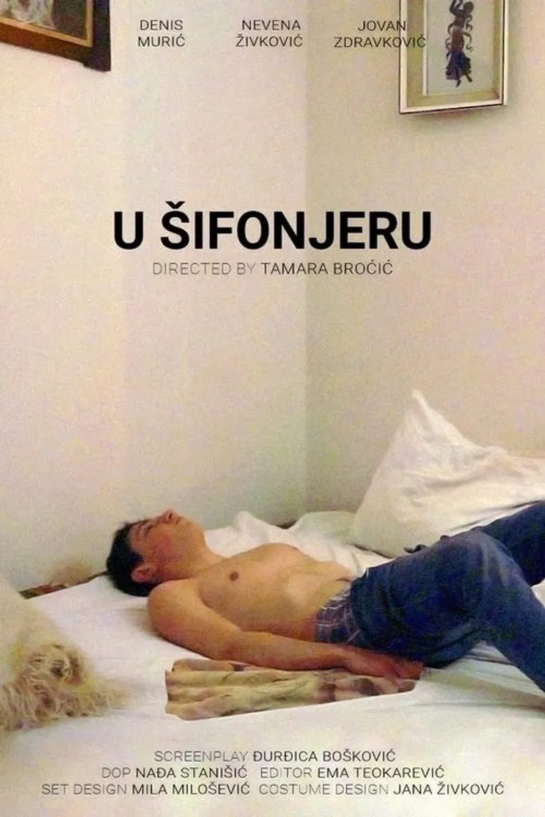 In the Closet poster background