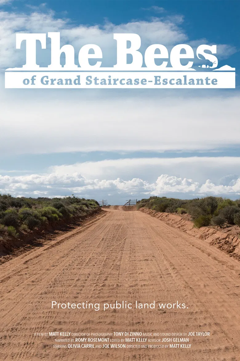 The Bees of Grand Staircase-Escalante poster background