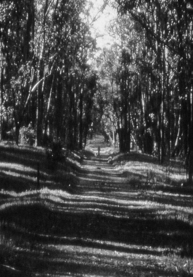 Bagatelle I poster background