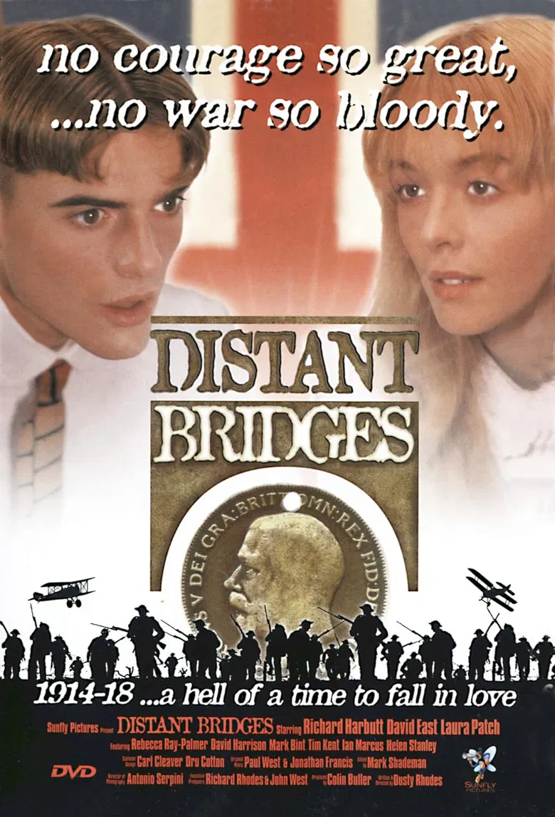 Distant Bridges poster background