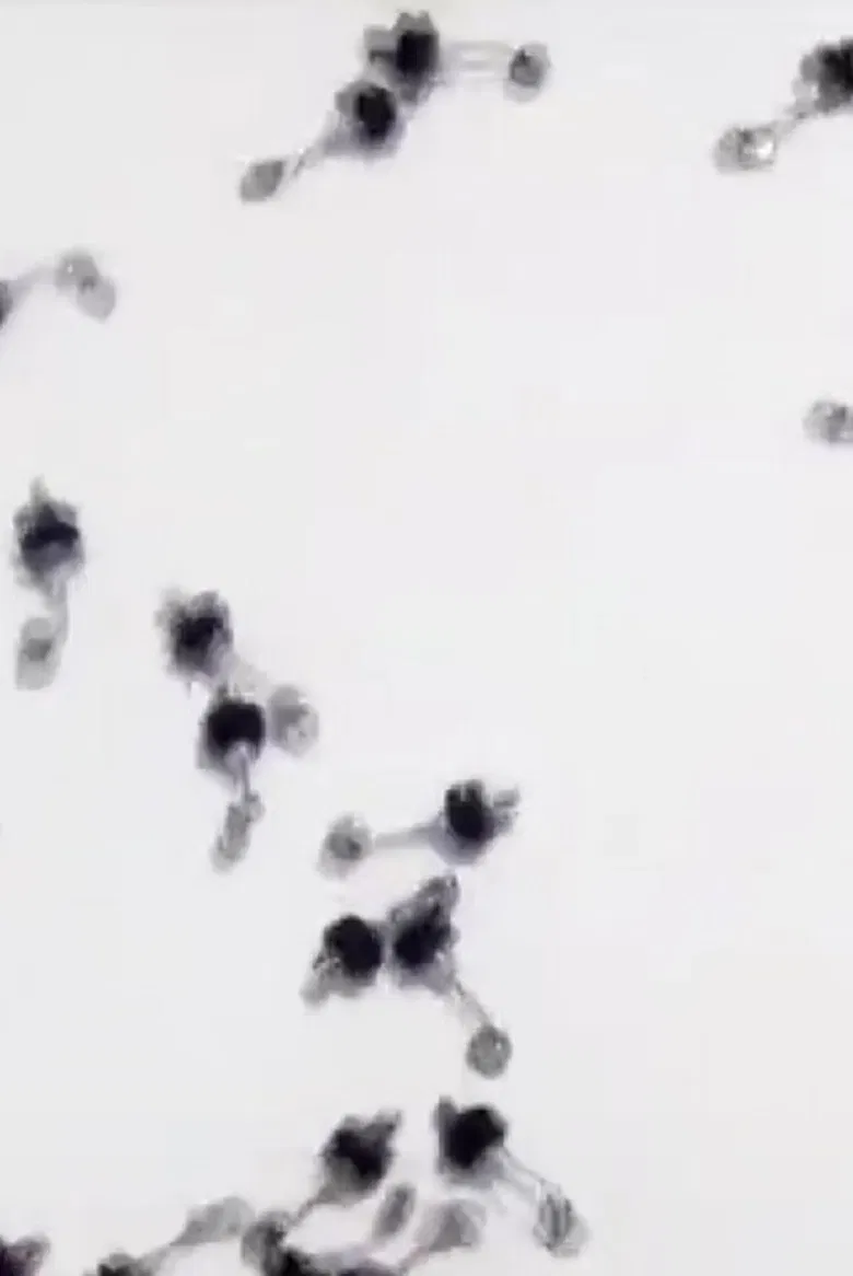 Untitled Sound Objects poster background