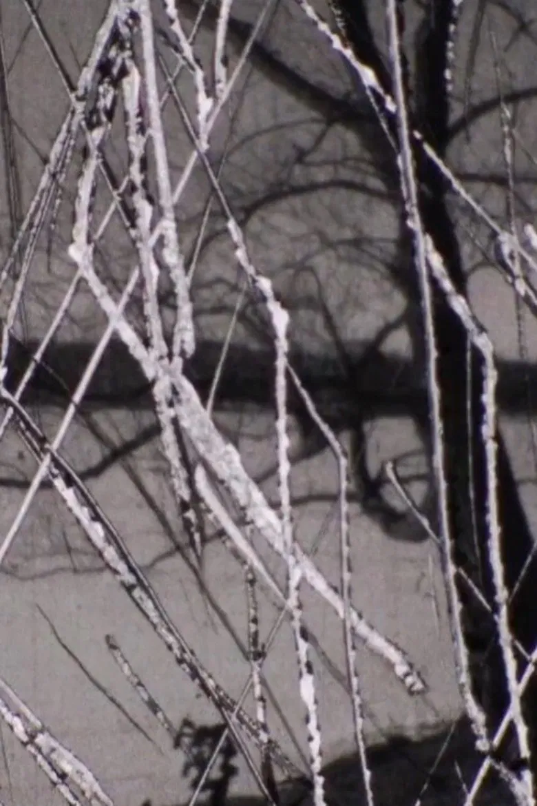 Snow poster background