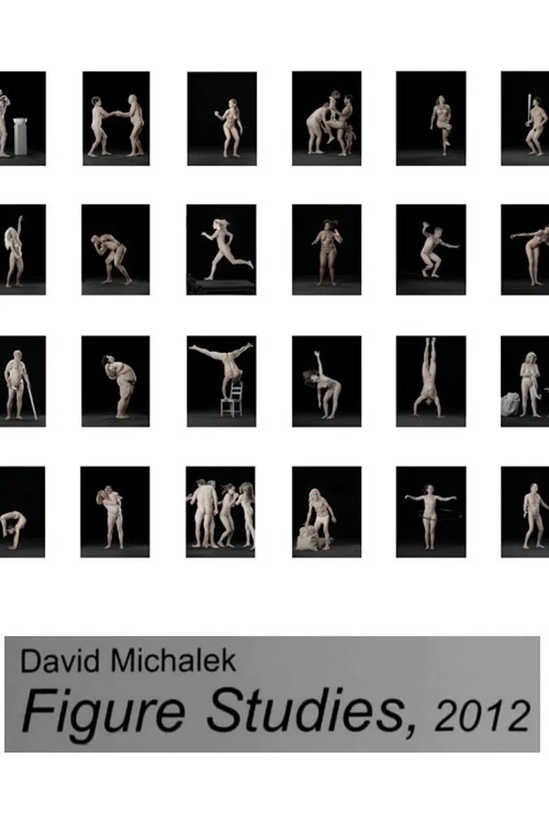 Figure Studies poster background