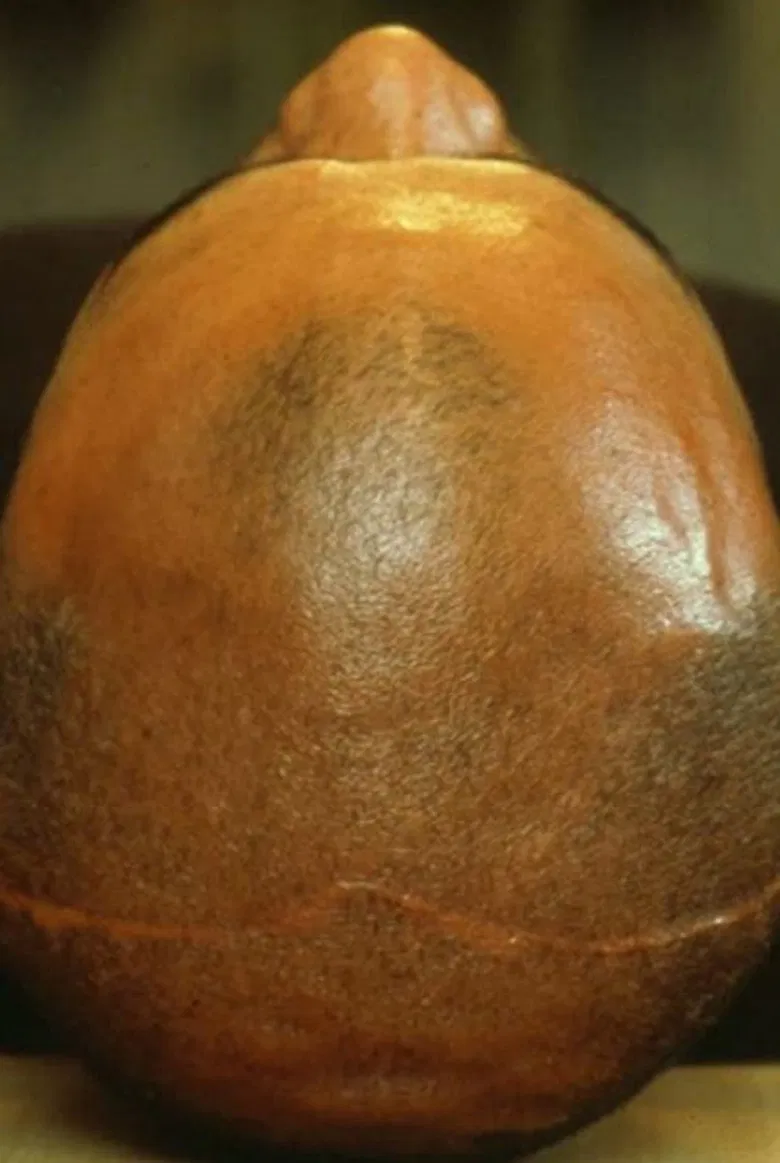 7th Nov. poster background