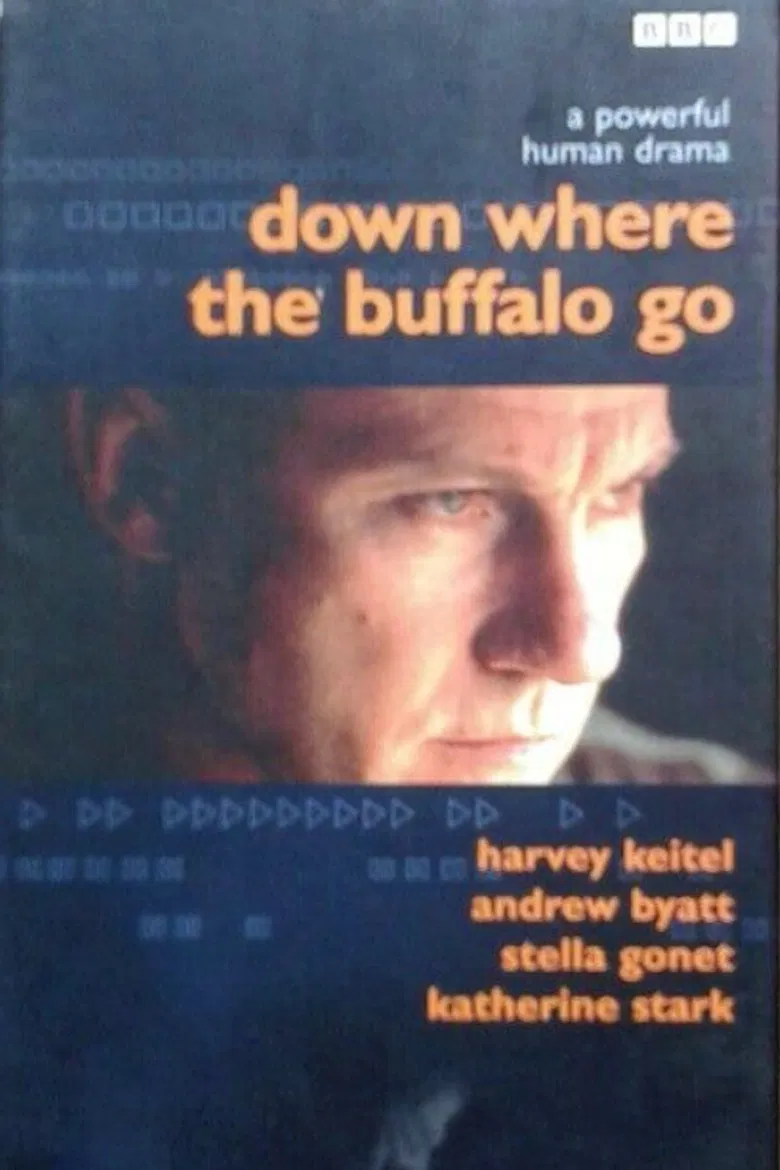 Down Where the Buffalo Go poster background