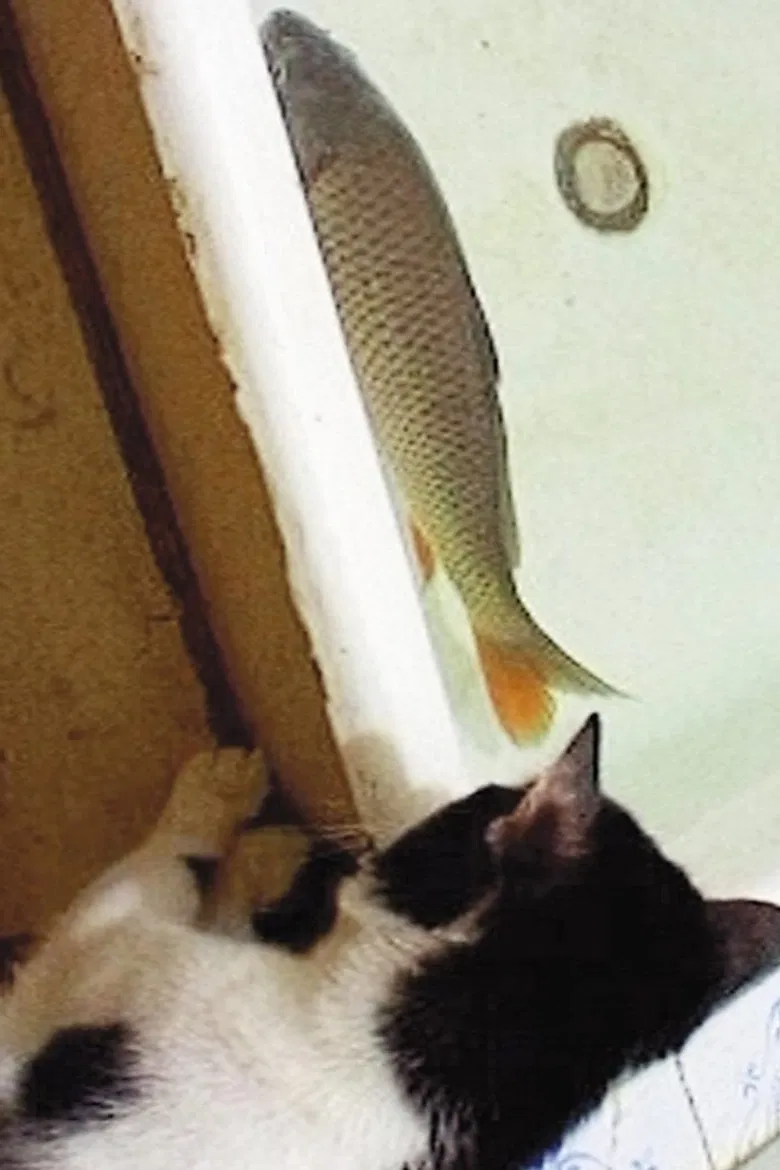 Diary poster background