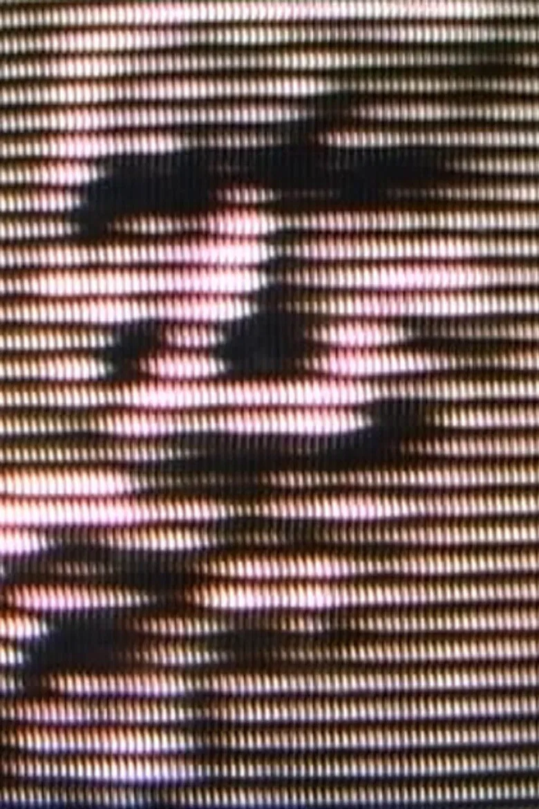 Cieli altissimi retrocedenti. Tricologia di Palermo di Salvo Cuccia poster background