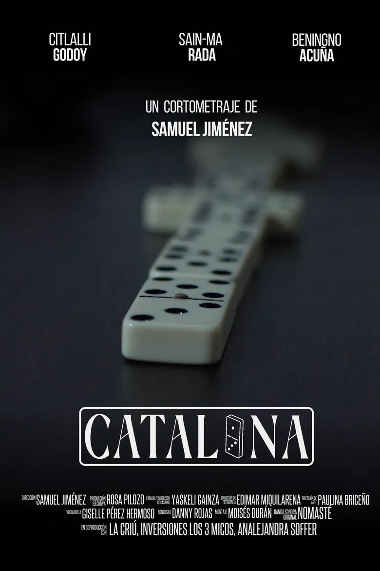 Catalina poster background
