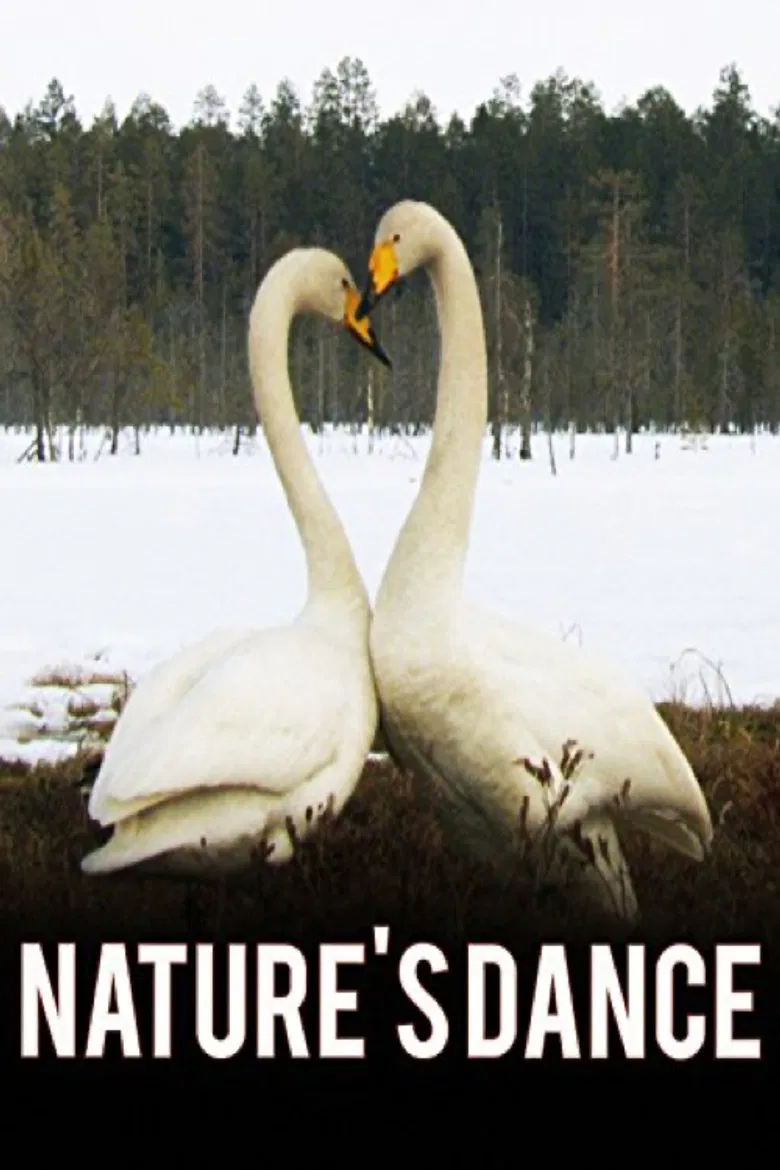 Nature's Dance poster background