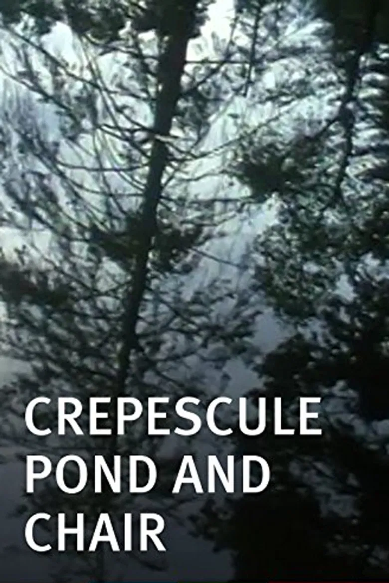 Crepescule Pond and Chair poster background