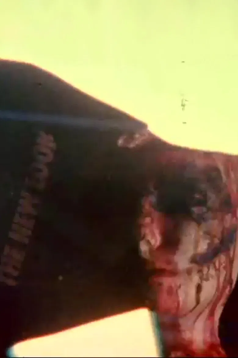 Manzwerld poster background