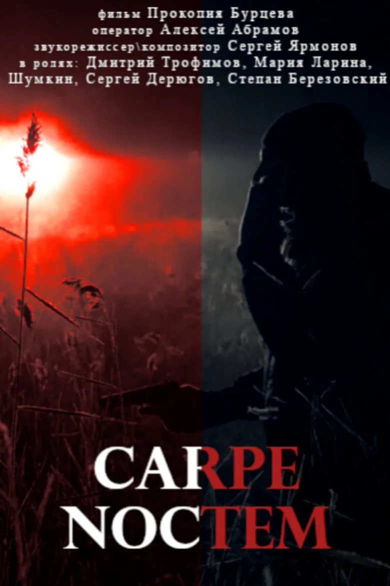 Carpe Noctem poster background