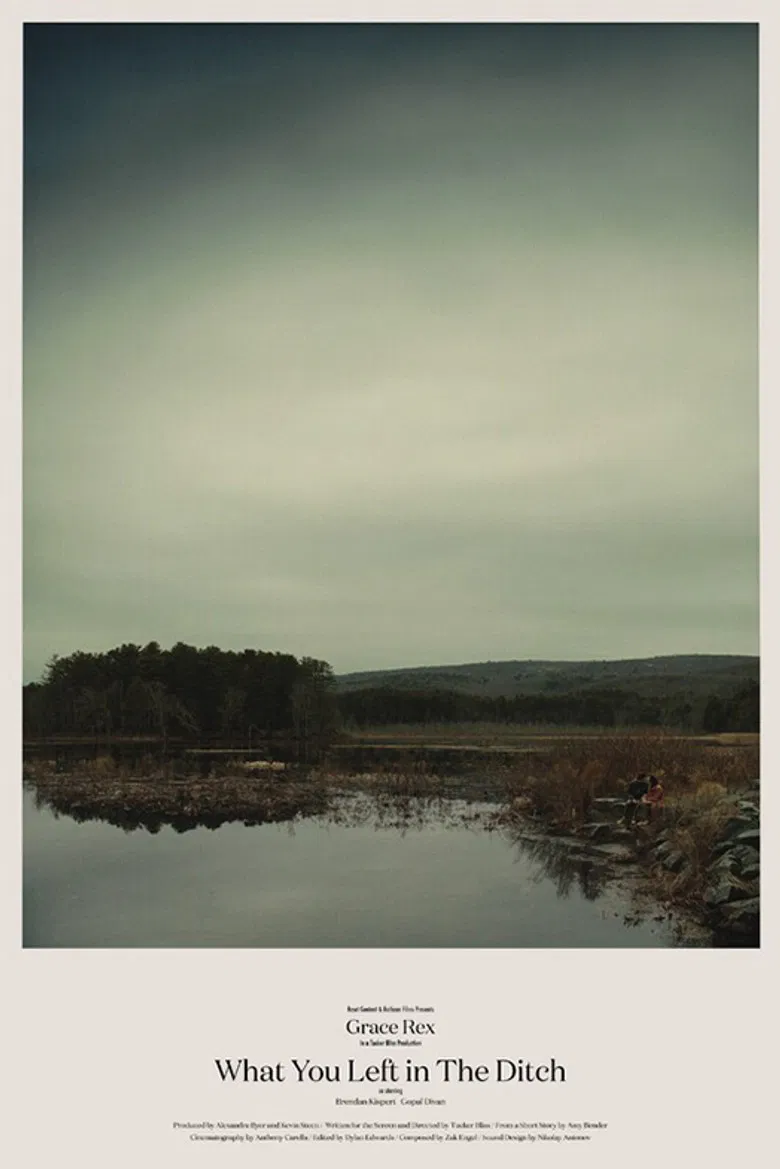 What You Left in the Ditch poster background