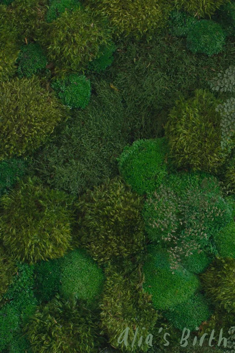 Alia's Birth poster background