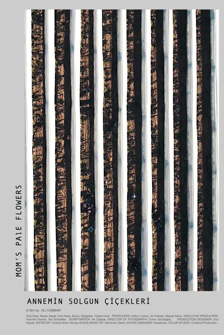 Mom's Pale Flowers poster background