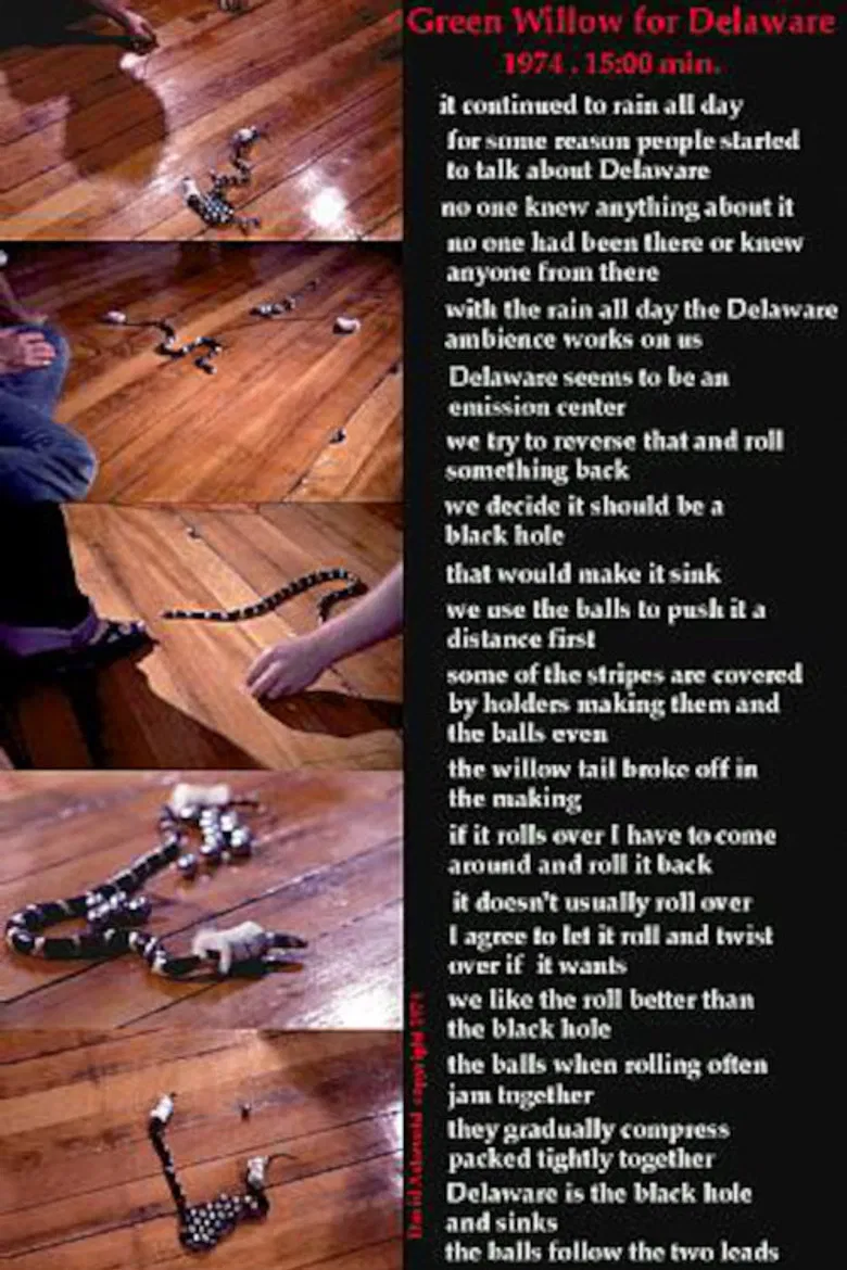 Green Willow for Delaware poster background