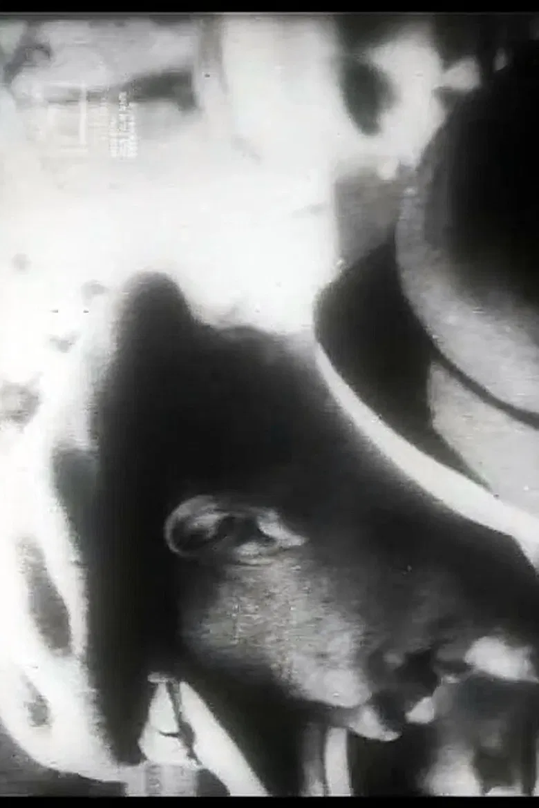 Uns mahnt ein November poster background