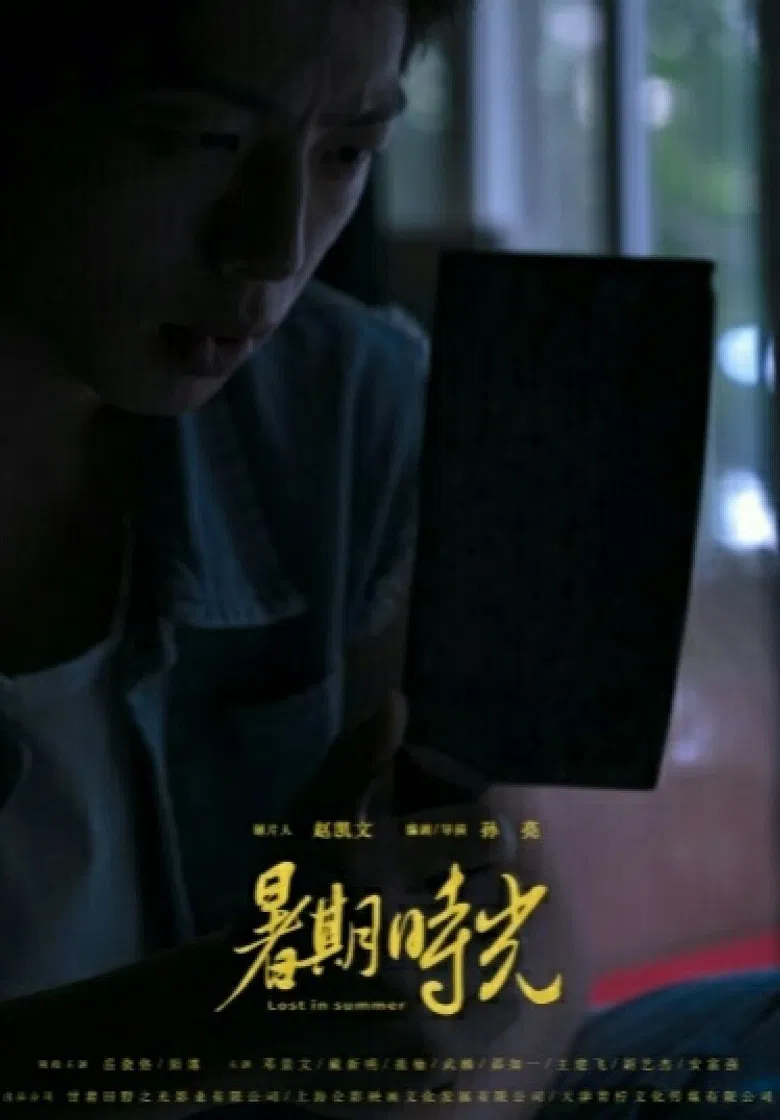 Lost in Summer poster background