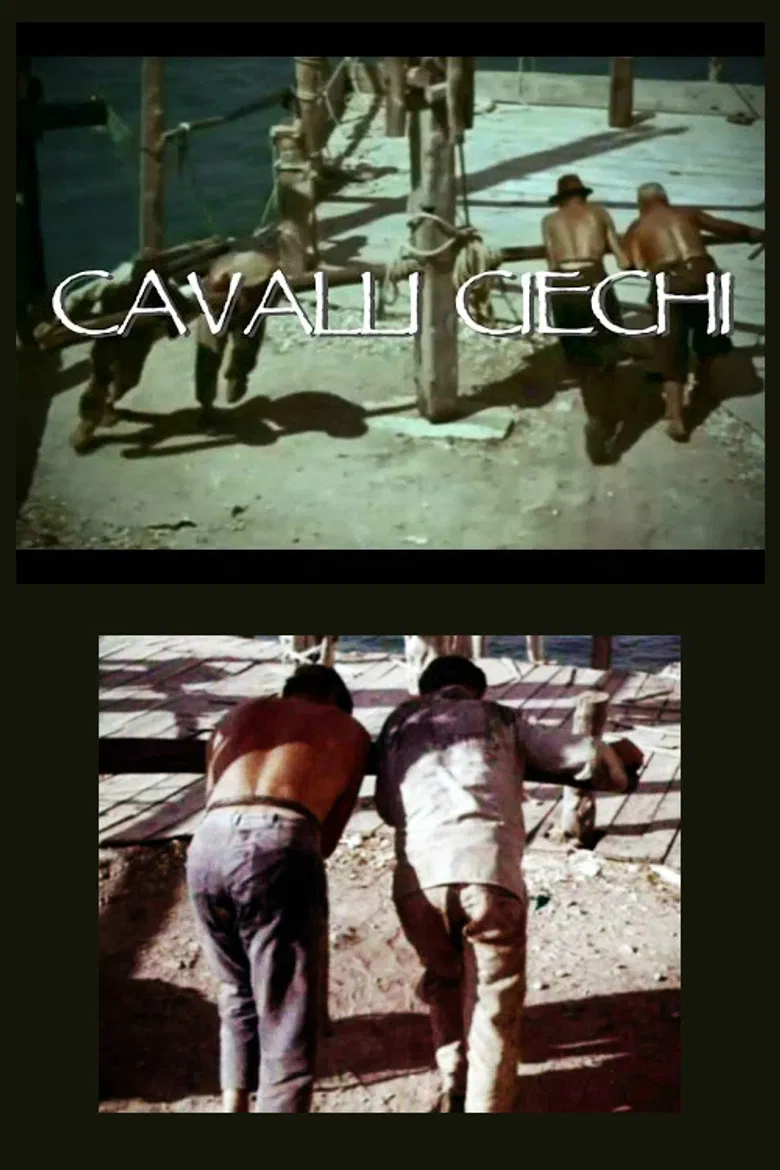 Cavalli ciechi poster background