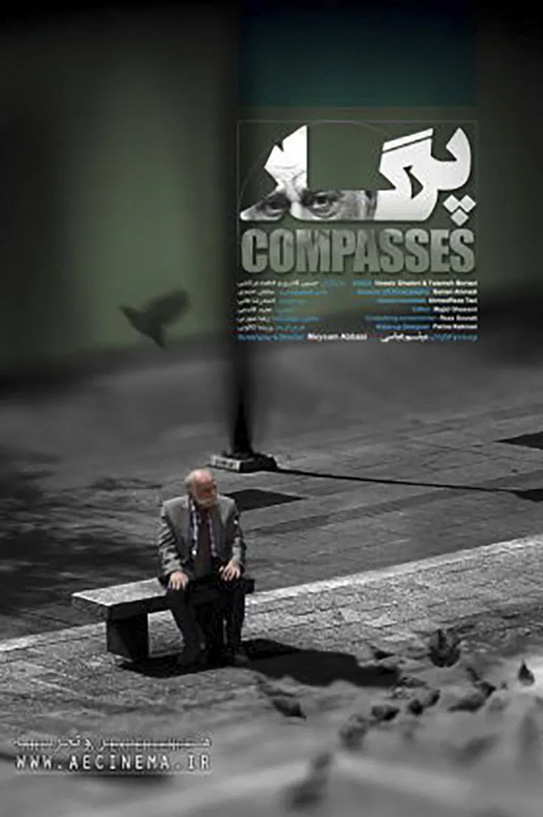 Compasses poster background