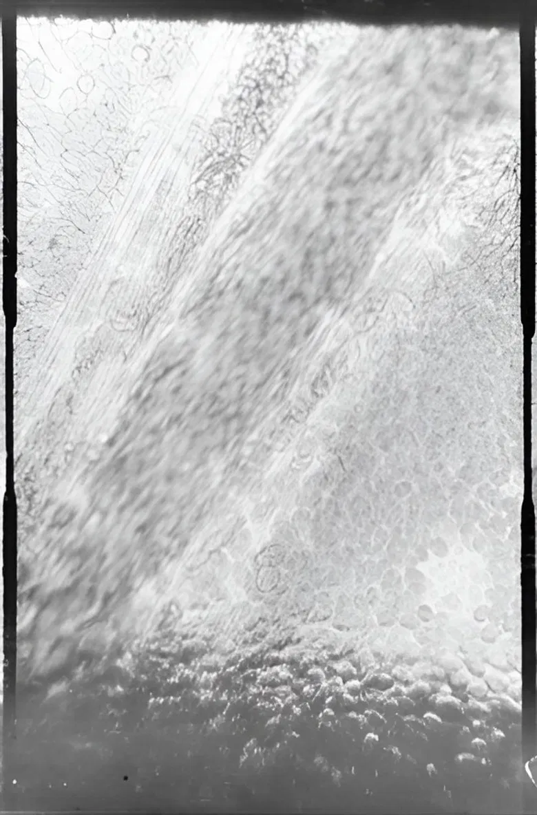 Déplacement des globules de sang dans un vaisseau capillaire poster background