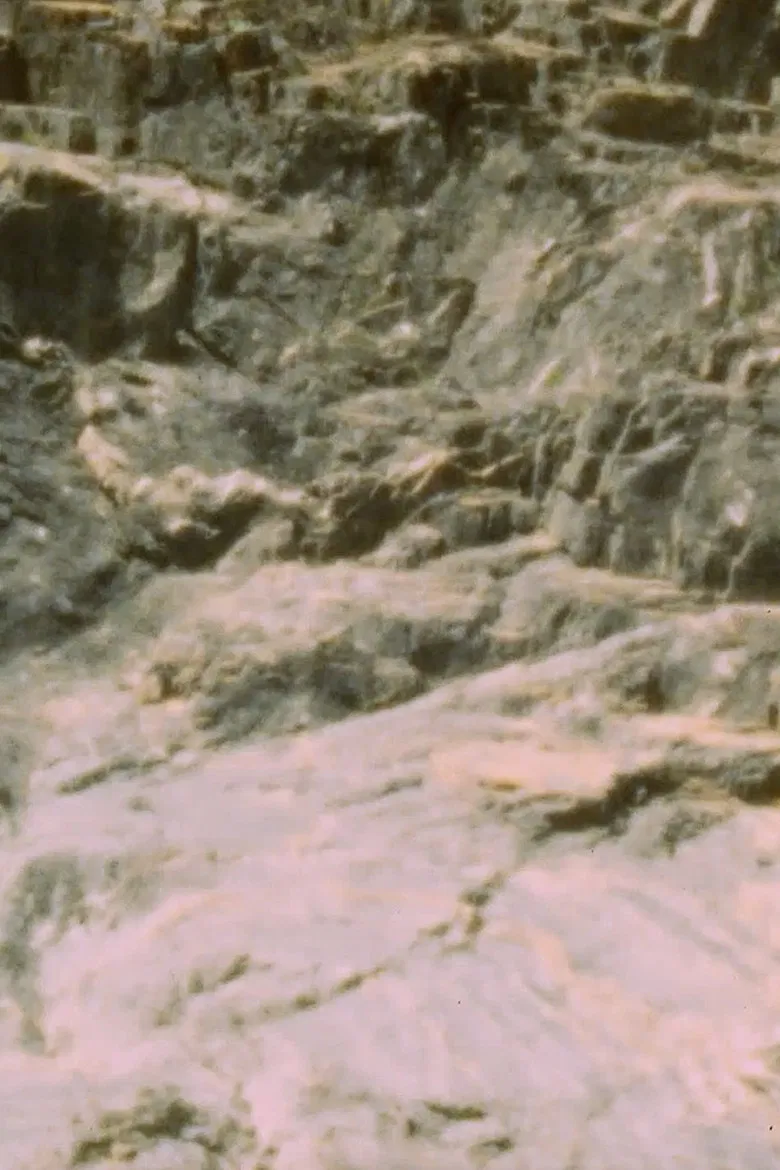 Lucina Annulata poster background