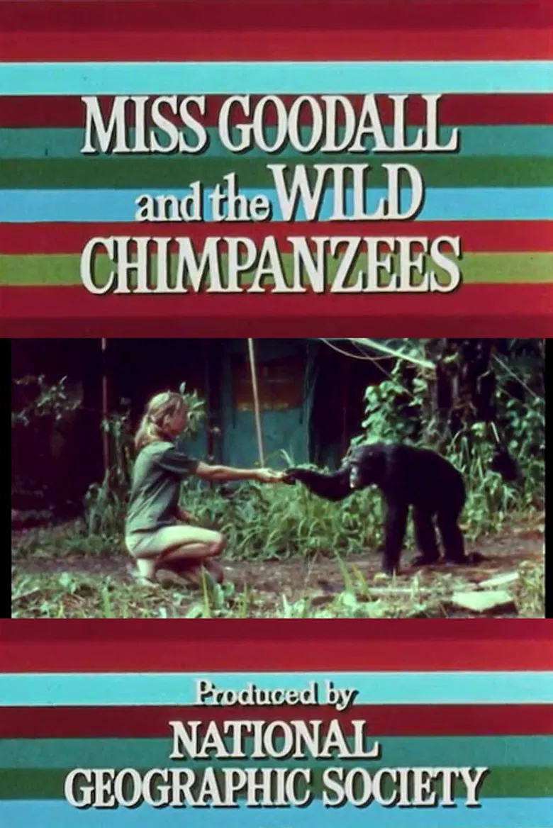 Miss Goodall and the Wild Chimpanzees poster background