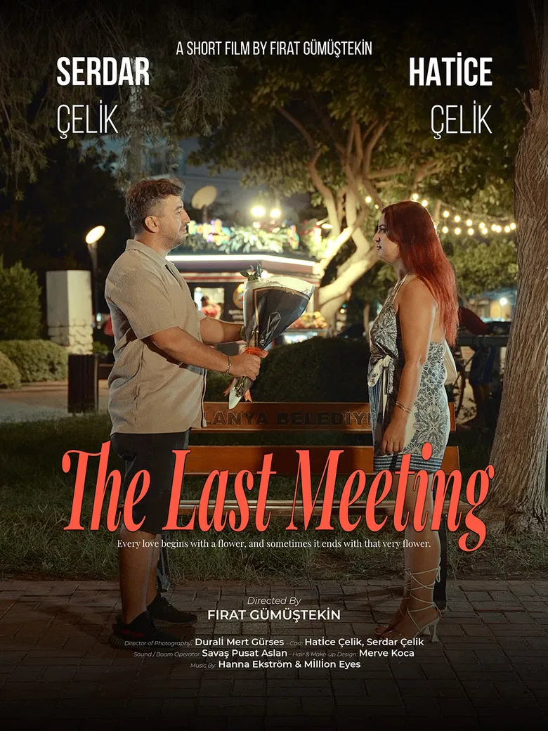 The Last Meeting poster background