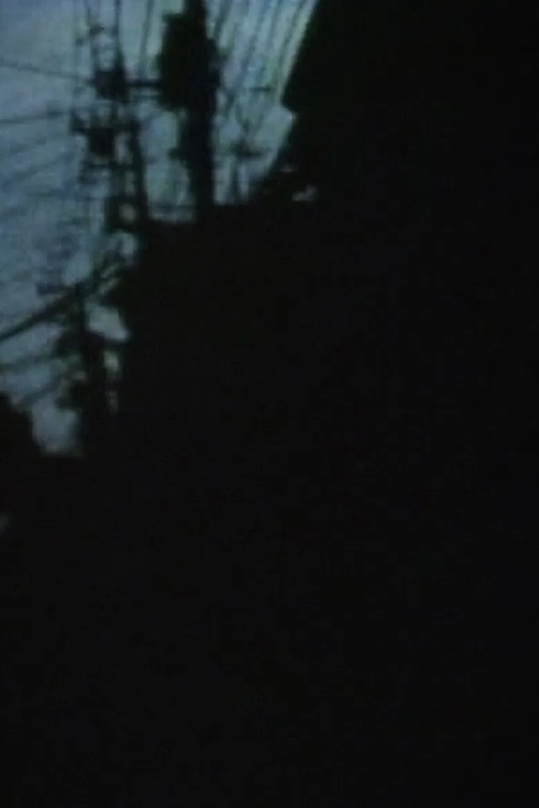 Incorrect Intermittence poster background