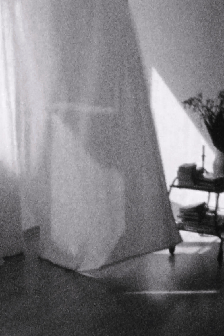 Weiße Vorhänge poster background