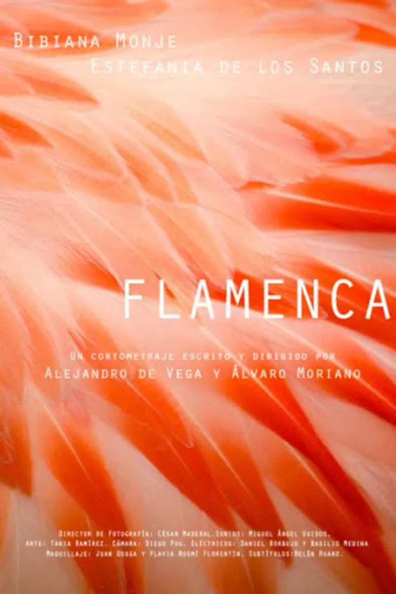 Flamenca poster background