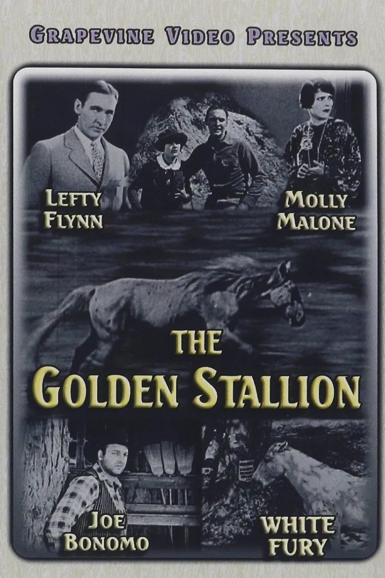 The Golden Stallion poster background